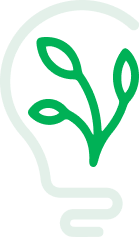 Bulb